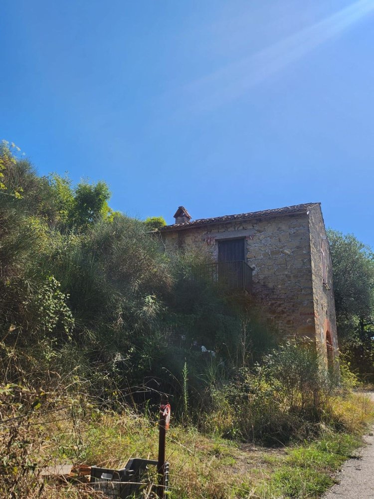 20000m² Land in Paliano, Italy No. 128822