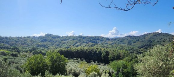 20000m² Land in Paliano, Italy No. 128822 2