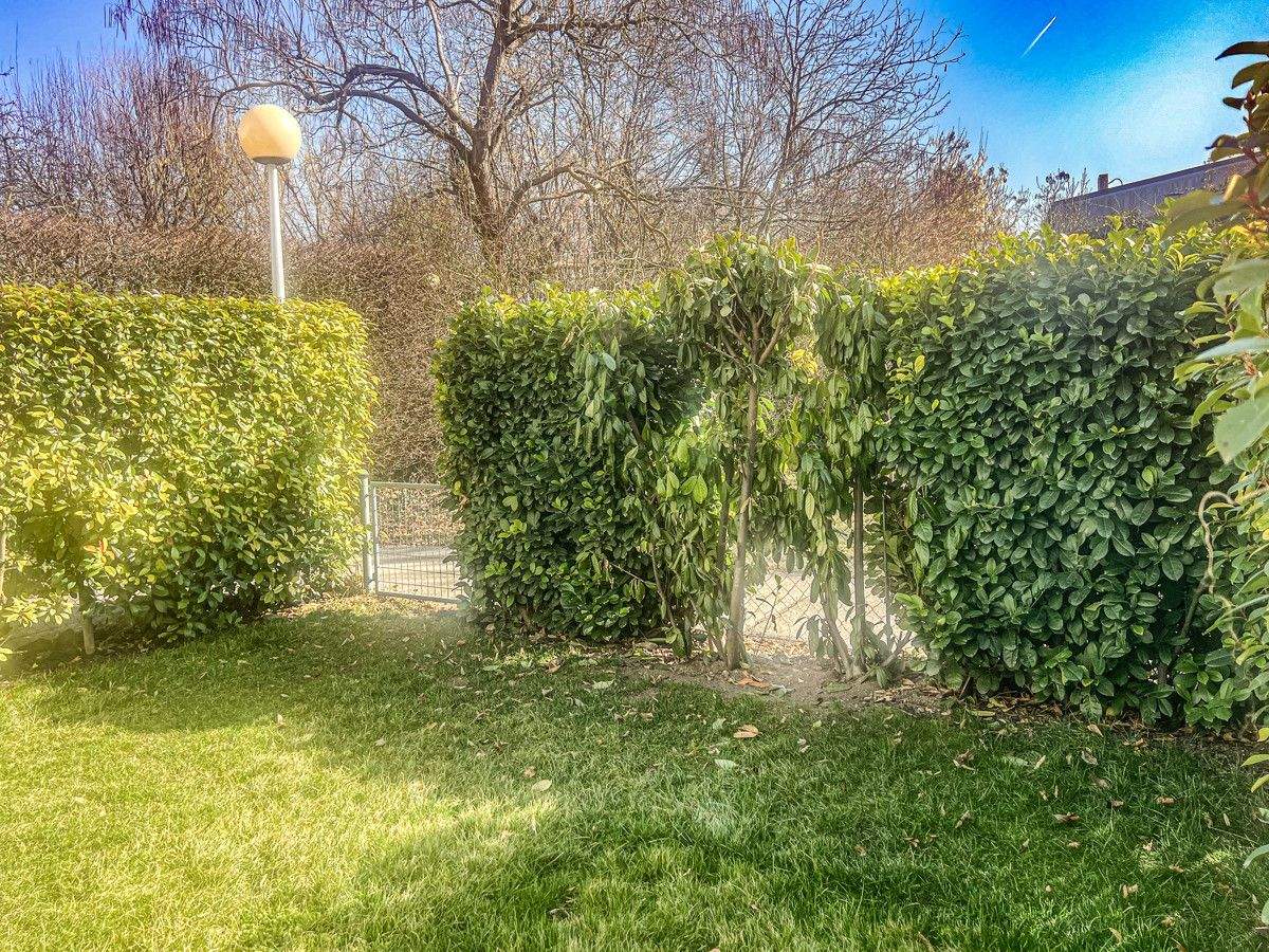 2 rooms Apartment in Vienna, Austria No. 147685