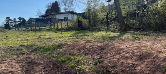  Land in Sudwestpfalz, Germany No. 149608 3