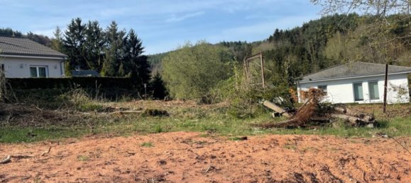  Land in Sudwestpfalz, Germany No. 149608 5