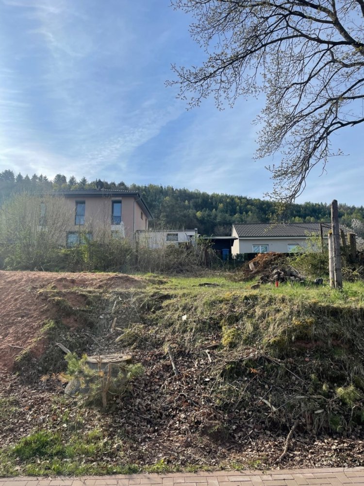  Land in Sudwestpfalz, Germany No. 149608