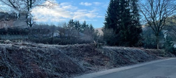  Land in Sudwestpfalz, Germany No. 149608 2