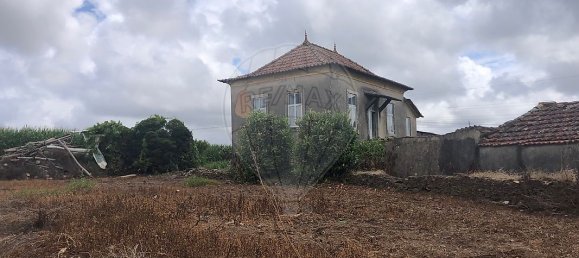 3 chambres Maison à Avanca, Portugal No. 22329 2