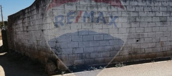 Casa de 4 dormitorios en Alter do Chao, Portugal No. 17631 45