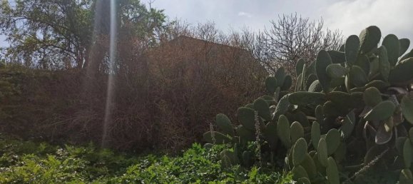 1 Schlafzimmer Haus in Noto, Italy, Nr. 59834 25