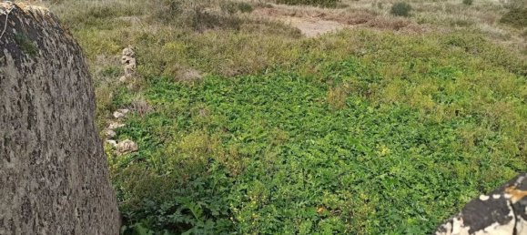 1 Schlafzimmer Haus in Noto, Italy, Nr. 59834 9