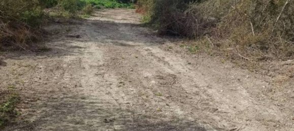 1 Schlafzimmer Haus in Noto, Italy, Nr. 59834 26