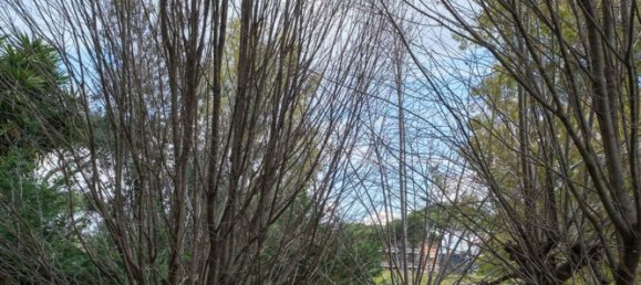 2غرفة شقة في Rome, Italy رقم 213166 48