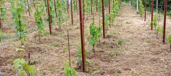 Grundstück in Tramonti, Italy 7500m², Nr. 280326 13