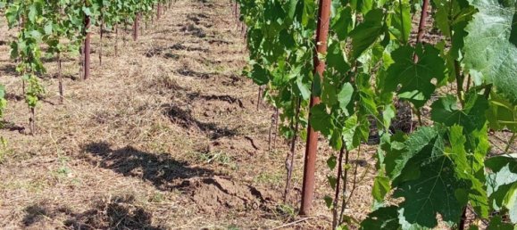 Grundstück in Tramonti, Italy 7500m², Nr. 280326 12