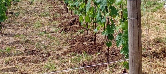 Grundstück in Tramonti, Italy 7500m², Nr. 280326 4