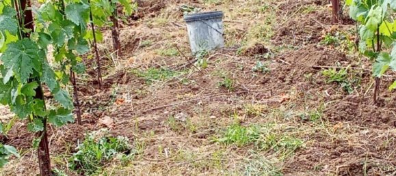 Grundstück in Tramonti, Italy 7500m², Nr. 280326 11