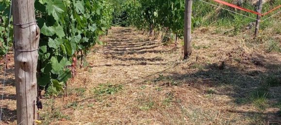 Grundstück in Tramonti, Italy 7500m², Nr. 280326 22