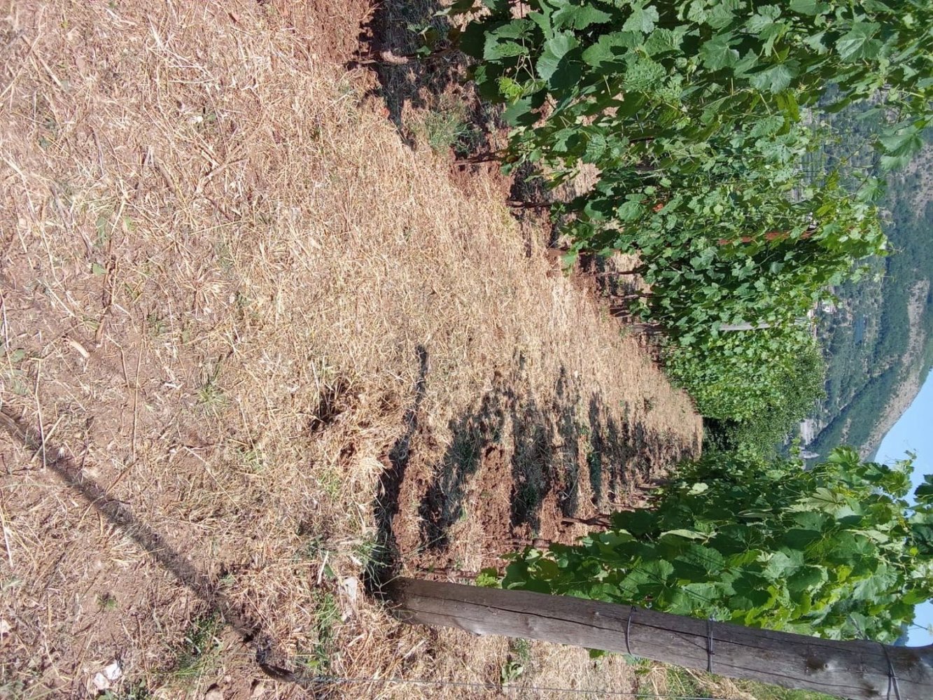 Grundstück in Tramonti, Italy 7500m², Nr. 280326