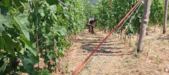 Grundstück in Tramonti, Italy 7500m², Nr. 280326 3