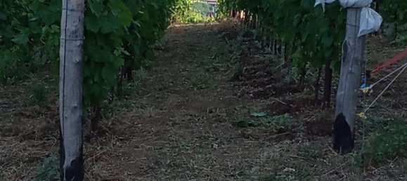 Grundstück in Tramonti, Italy 7500m², Nr. 280326 23