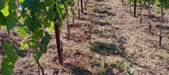 Grundstück in Tramonti, Italy 7500m², Nr. 280326 7