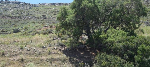 27860m² Hotel in Rethymno, Greece No. 6149 2