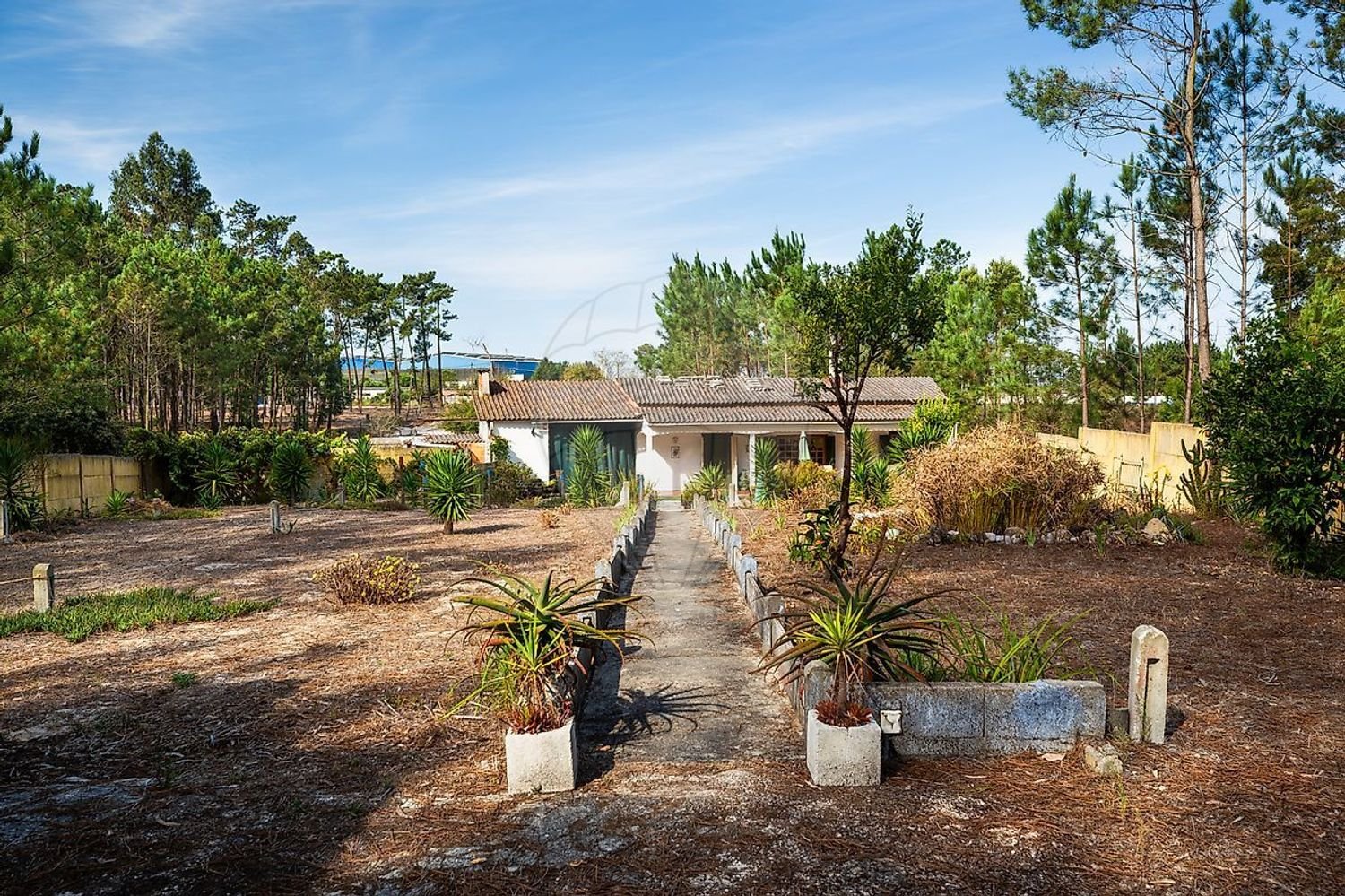 Estudio en Marinha Grande, Portugal No. 27470