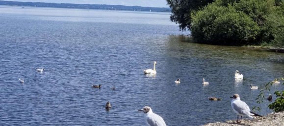 2 Schlafzimmer Wohnung in Traunstein, Germany, Nr. 220114 16