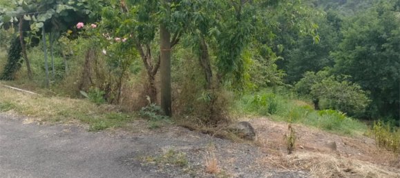 3 bedrooms House in Ourense, Spain No. 163241 5