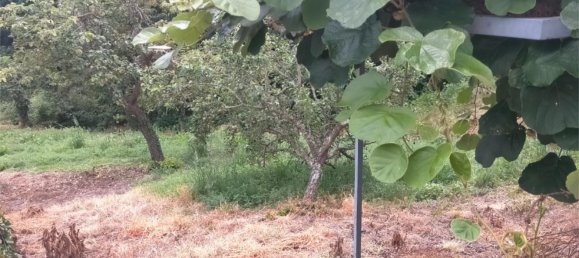 3 bedrooms House in Ourense, Spain No. 163241 3