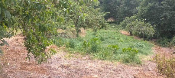 3 bedrooms House in Ourense, Spain No. 163241 4