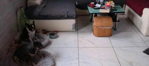 1 bedroom House in Goslar, Germany No. 217719 17