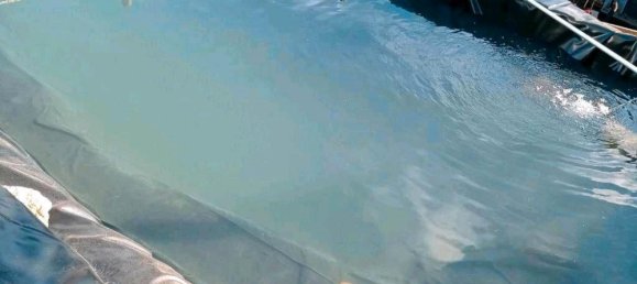 1 bedroom House in Goslar, Germany No. 217719 5