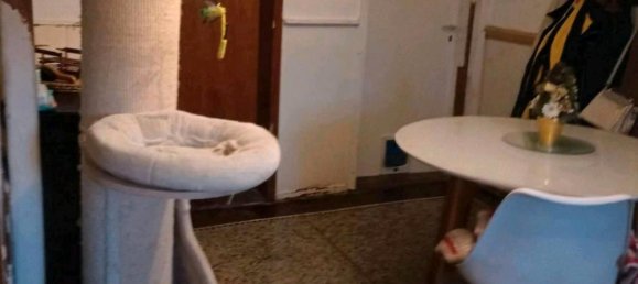 1 bedroom House in Goslar, Germany No. 217719 9