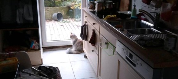 1 bedroom House in Goslar, Germany No. 217719 15