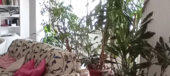 8 rooms Apartment in Savona, Italy No. 161658 14