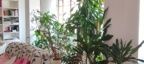 8 rooms Apartment in Savona, Italy No. 161658 5