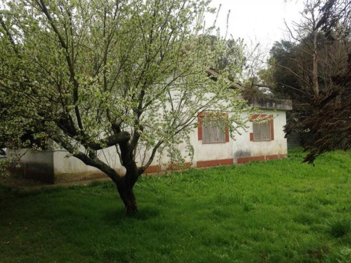  Land in Campo Creado, Argentina No. 41969