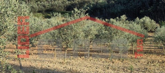 32074m² Land in Passos, Portugal No. 225086 5