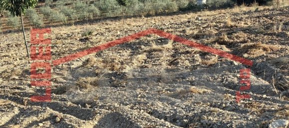 32074m² Land in Passos, Portugal No. 225086 6