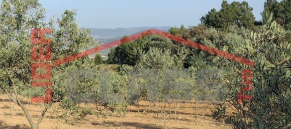 32074m² Land in Passos, Portugal No. 225086 3