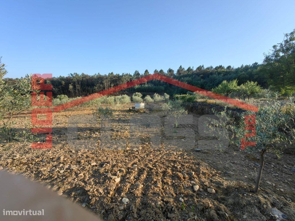 32074m² Land in Passos, Portugal No. 225086