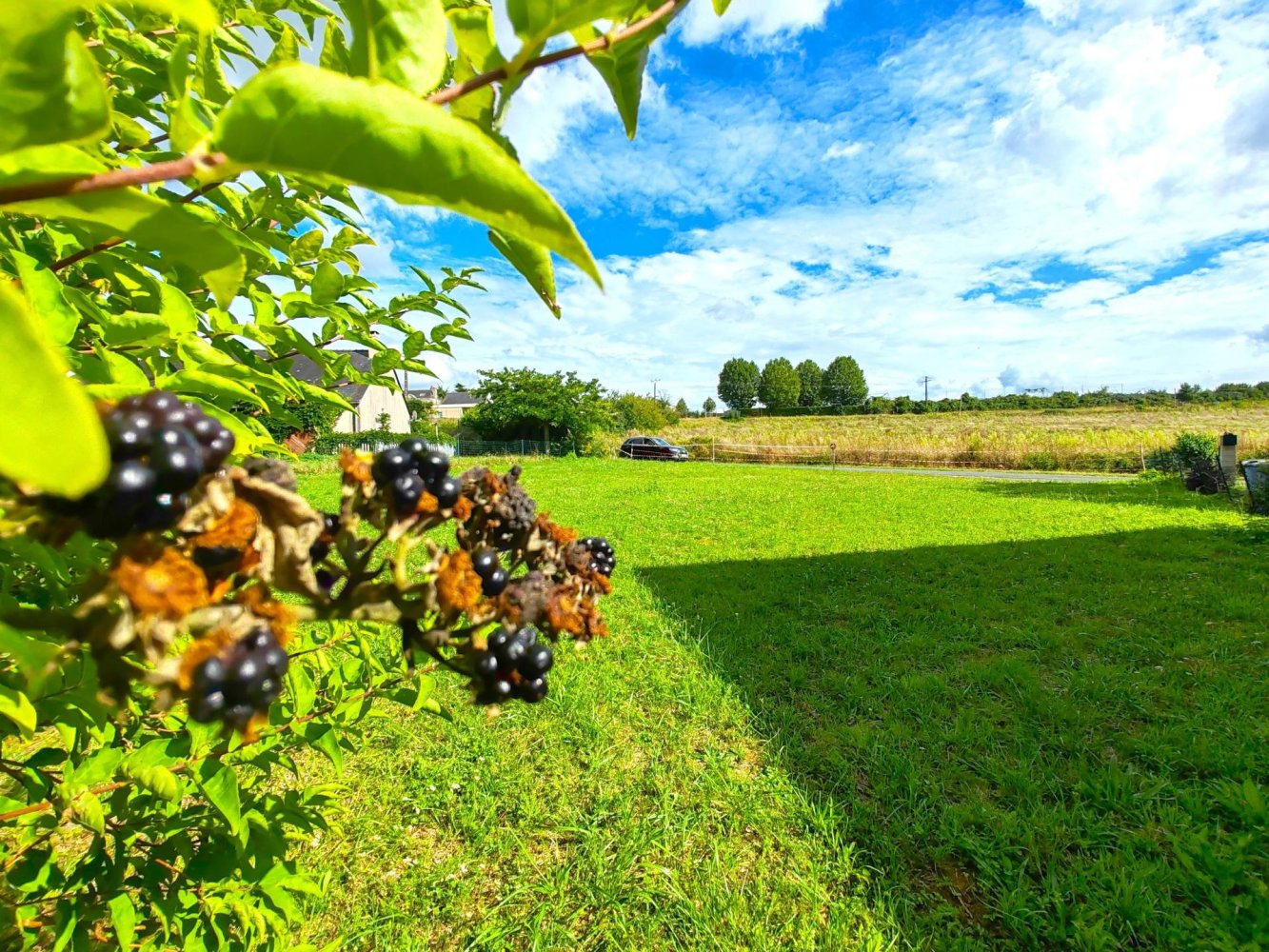 Terreno em Maine-et-Loire, France 600 m² N.º 99696