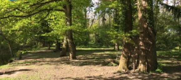 Terrain à Traînou, France No. 65069 4