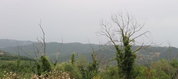 Estudio en Parrano, Italy No. 137331 8