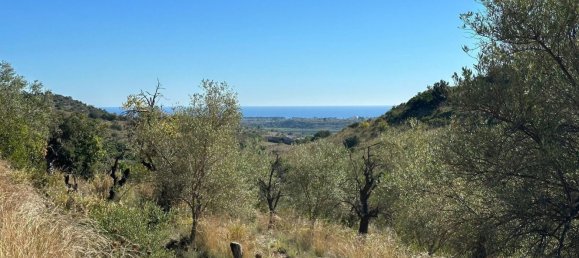 Terrain à Avola, Italy 9000m² No. 149667 4