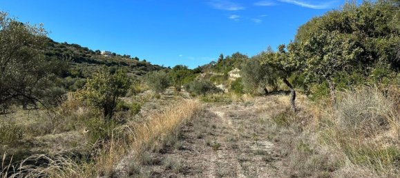 Terrain à Avola, Italy 9000m² No. 149667 6