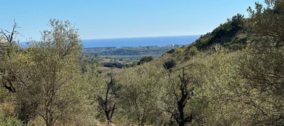 Terrain à Avola, Italy 9000m² No. 149667 3