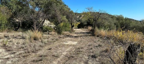 Terrain à Avola, Italy 9000m² No. 149667 5