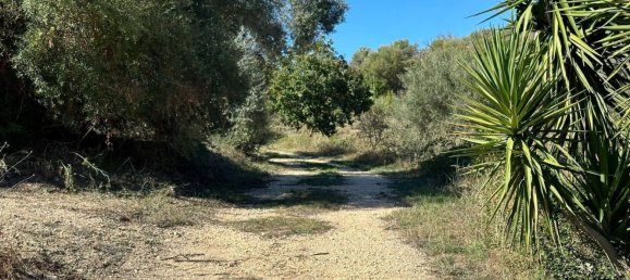 Terrain à Avola, Italy 9000m² No. 149667 2