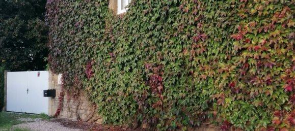 Дом с 3 спальнями в Рувруа-сюр-Одри, Франция № 300048 13