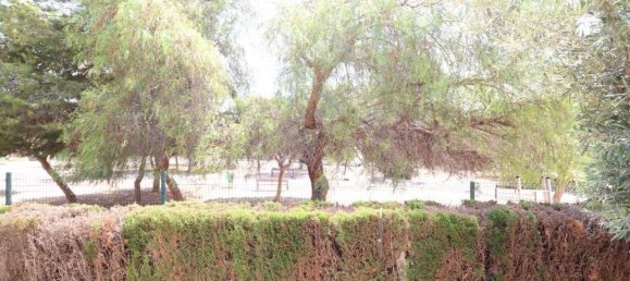 Casa T2 em Dehesa De Campoamor, Spain N.º 186364 22