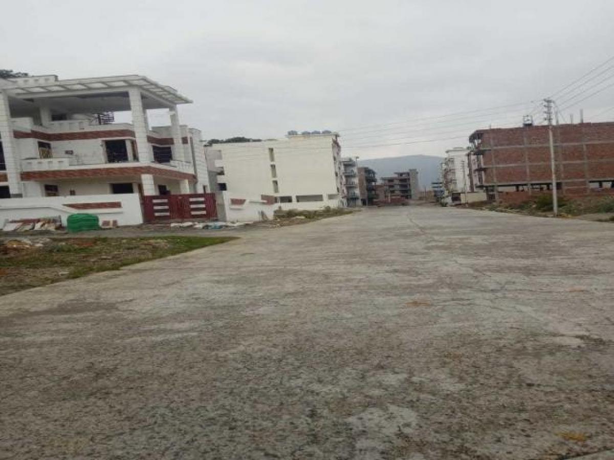 Studio in Dehradun, India No. 42147